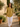 Women's Button Placket Longline Tunic Mustard Yellow