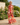 Women’s Floral Print Halter Neck Maxi Dress 2