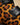 Women’s Leopard Print Ankle Boots with Buckle Straps-Footwear for women-CaldwellVoss