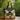 Women’s Quilted Tote Bag with Piano Motif-Accessories for Women-CaldwellVoss
