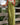 Women’s Sleeveless Wide Leg Bib Overalls-Pants for Women-CaldwellVoss