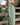 Women’s Sleeveless Wide Leg Bib Overalls-Pants for Women-CaldwellVoss
