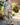 Women’s Tree Ring Print Co-ord Set-Sets for women-CaldwellVoss