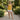 Women’s V-Neck Linen Vest Top 1