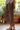 Women's Cropped Cuffed Straight Leg Trousers Brown