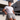 Men’s Sweatshorts with Drawcord and Seam Detailing-Shorts for men-CaldwellVoss