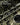 Patterned Men's Suit with Blazer and Trousers-Sets for Men-CaldwellVoss