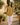 Women's Button Placket Longline Tunic Mustard Yellow