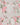 Women’s Floral Print Mini Dress with Ruffle Sleeves 3