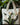 Women’s Quilted Tote Bag with Piano Motif-Accessories for Women-CaldwellVoss