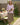 Women’s Shawl Collar V-Neck Linen Top-Tops for women-CaldwellVoss