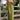 Women’s Sleeveless Wide Leg Bib Overalls-Pants for Women-CaldwellVoss