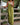 Women’s Sleeveless Wide Leg Bib Overalls-Pants for Women-CaldwellVoss