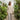 Women’s Striped Blouse and Wide Leg Pants Set-Sets for women-CaldwellVoss