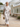 Women’s Tree Ring Print Co-ord Set-Sets for women-CaldwellVoss