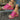 Women’s Wedge Sandals with Hook and Loop Strap-Footwear for women-CaldwellVoss