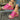 Women’s Wedge Sandals with Hook and Loop Strap-Footwear for women-CaldwellVoss
